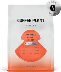 Coffee Plant Φίλτρου Almond σε Κόκκους 250gr Coffee Plant Φίλτρου Almond σε Κόκκους 250gr
