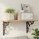 vidaXL Heavy-Duty Shelf Brackets Made of Stainless Steel in Bronze Colour 215x215mm 12 Pieces 42038841