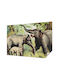 Kinder Tapeten Magicstick Familie Elefanten Im Dschungel Hintergrund 208x146
