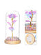 All Saints White Rose 22cm in Glass with LED Aptel