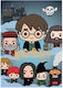 Harry Potter Sorcerer's Stone 3d Магнитче