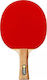 Ping-Pong-Schläger für Anfänger Spieler