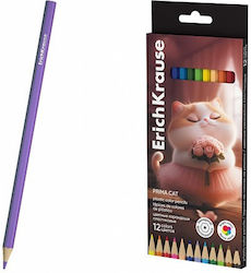 ErichKrause Buntstifte Set 12 Farben ErichKrause Buntstifte Set 12 Farben
