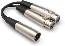 Hosa XLR male -