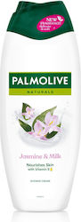 Apart Shower Gel 500ml Apart Shower Gel 500ml