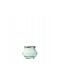 Weck Set of 12 General Use Jars with Airtight Lid Glass Transparent 220ml 12 Pieces