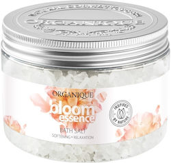 Organique Săruri De Baie 600gr