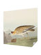 Selbstklebende Tapete Wand 250x250cm