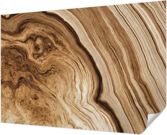 Selbstklebende Tapete Wand 312x219cm