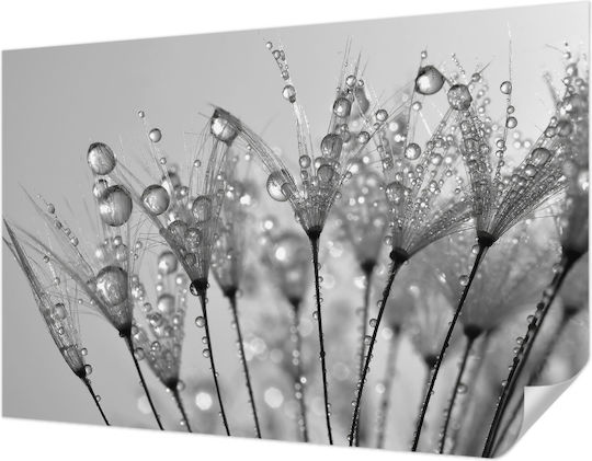 Self-Adhesive Wall Wallpaper 104x70cm