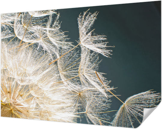 Tapet Autocolant De Perete 152x104cm