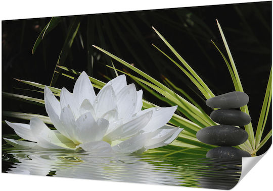 Tapet Autocolant Alb Pentru Perete 416x254cm