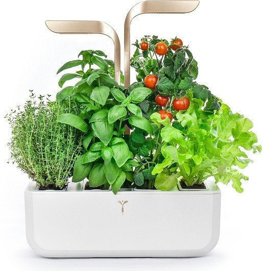 Plastic Flower Pot Moonlight Gold Plastic Flower Pot Moonlight Gold