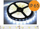 Eco Light Αδιάβροχη Ταινία LED Ψυχρό Λευκό Φως 5m Τύπου SMD2835