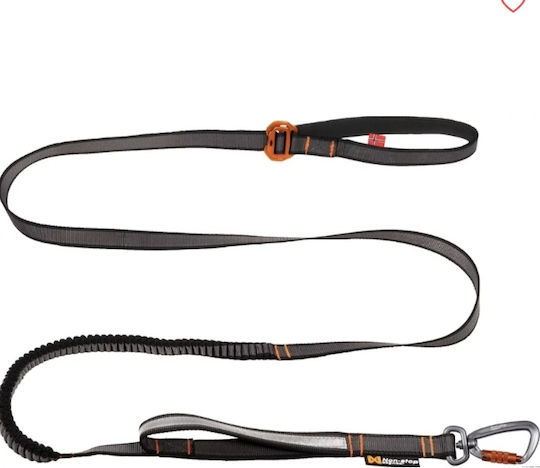 Non-stop dogwear Lesură/Odihnă Câine Curea Touring Bungee Reglabilă