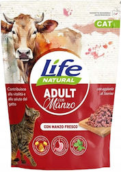 Dry Cat Food for Adult Cats with Beef / Calf / Rice / Corn / Pork / Poultry 0.8kg Dry Cat Food for Adult Cats with Beef / Calf / Rice / Corn / Pork / Poultry 0.8kg