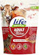 Dry Cat Food for Adult Cats with Beef / Calf / Rice / Corn / Pork / Poultry 0.8kg