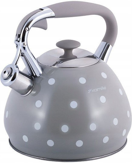 Kamille Βραστήρας Ανοξείδωτος Γκρι 3000ml