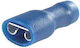 Ergom Blue E10KN-03010302701 in Set of 100 Pieces