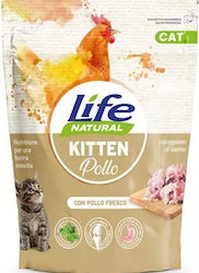 Dry Cat Food with Chicken / Rice / Salmon 0.8kg