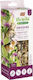 Vitapol Хранителна Добавка За Гризачи С Цвекло Vita Herbal 90гр 2 Бройки