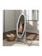 SteweHome Boden- oder Standspiegel Oval mit Silber Holz Rahmen 161x63cm