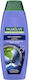 Palmolive Naturals Wild Mint & Sea Minerals, Αντιπυτιριδικό Σαμπουάν, 350ml