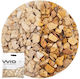 Wio Aquariumboden Kies 2kg