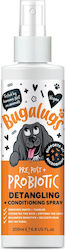 Pre Post & Probiotic Spray Zur Entwirrung Für Hunde 200ml