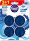 Brait Badezimmerreiniger Toilette 4x50gr