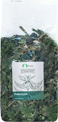 Tivo Nettle 100gr Tivo Nettle 100gr