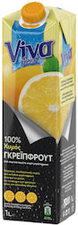 Viva Suc de fructe 1000ml