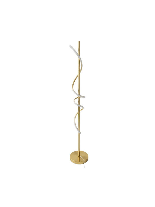 Iliadis LED Stehlampe H150xT25cm Gold