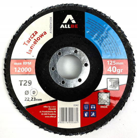 Pro Schleifscheiben P40 125mm 80 Stück
