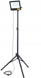 150W with Luminous Flux 15000lmlm with Tripod