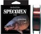 Fir Monofilament Nylon Baracuda Specimen 300 M Maro