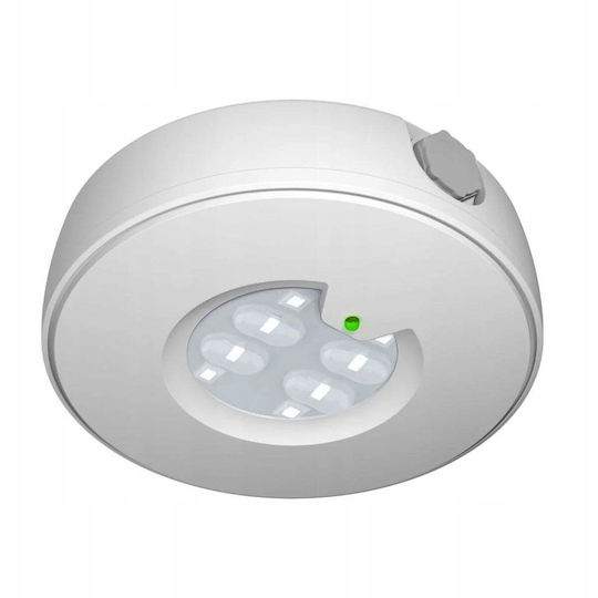 Eaton Notfallleuchten LED Roundtech Efocus At 200lm Ip65 Autonomie 1 Stunde Wandmontage