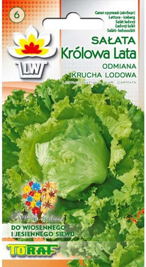 Toraf Semințe Salată Verde Salata Krolowa Ambalaj 1gr