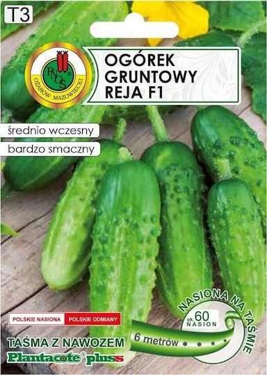 Apte Cucumber Reja F1 Tape 6m Fertilizer Platnacote Mid-Early Variety