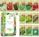 Toraf Saatgut Set Smaki Wiosny 12 Gewichte
