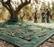 Kraft World Olive Harvesting Net from HDPE 5x10m Density 95gr/m²