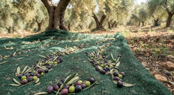 Kraft World Olive Harvesting Net from HDPE 8x14m Density 95gr/m²