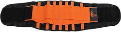 Canis Safety Gürtel & Riemen Arbeit Canis Safety Gürtel & Riemen Arbeit