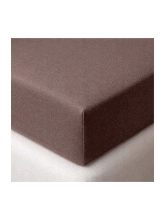 Matex Σεντόνι Ημίδιπλο με Λάστιχο 120x190εκ. Καφέ