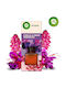 Reckitt Benckiser Raumdüfte Sticks Air Wick Studio Fuchsia Blumenbeere 80 Ml
