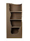 Ecru Bookcase 82x35.5x180cm
