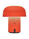 Kooduu Decorative Table Lamp 19x21cm