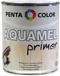 Pentacolor Grundierung 0.8kg