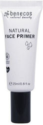 Benecos Gesichtsgrundierung in Cremiger Form 25ml Benecos Gesichtsgrundierung in Cremiger Form 25ml