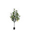 Декоративно растение Lemon Tree саксия Inart зелено Pp В180 см